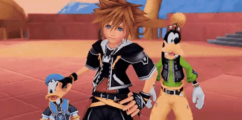 Sora confus